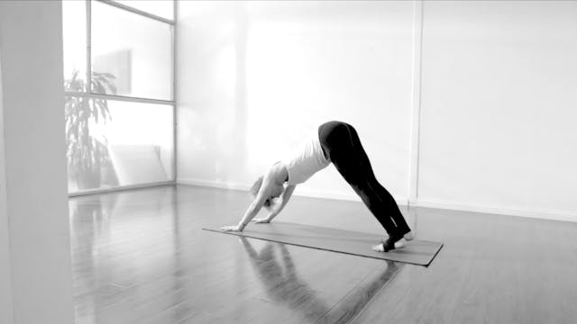 60-Minute FLOW with Steph - 12/1, Goo...