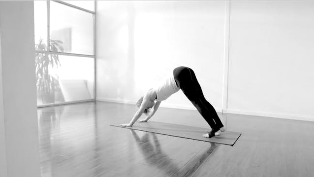 60-Minute FLOW with Steph - 12/1, Goo...