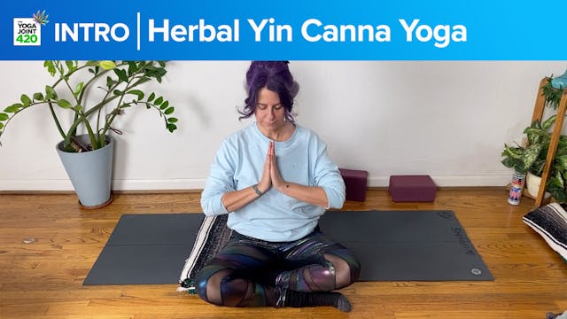 Introduction to Herbal Yin Yoga Classes