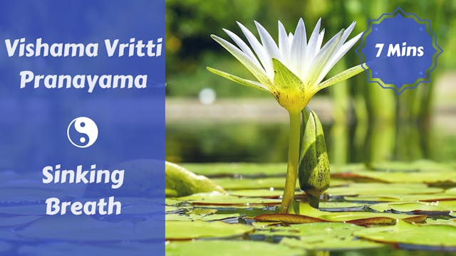 Vishama Vritti Pranayama | Sinking Br...