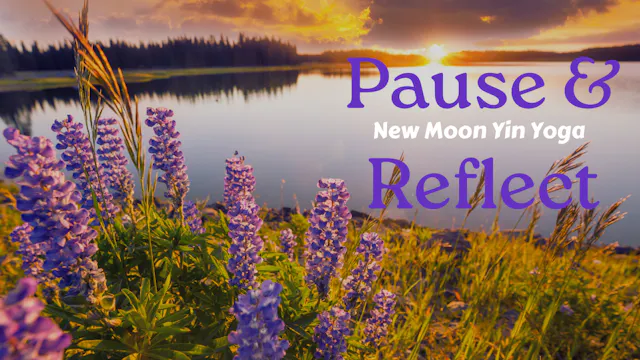 Pause and Reflect | New Moon Yin Yoga
