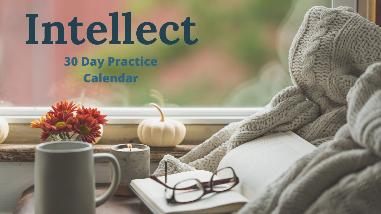 INTELLECT Journal Reflection Prompts