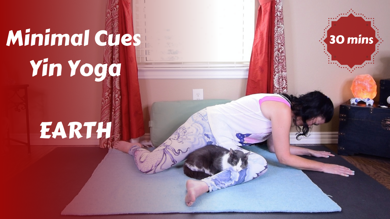 Minimal Cues Yin Yoga | EARTH | Grounding