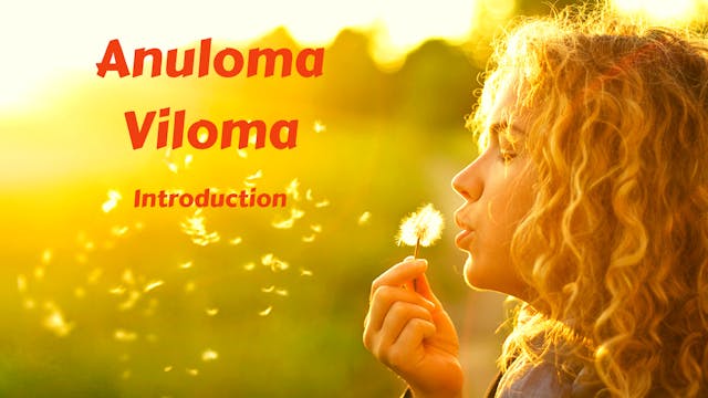 Anuloma Viloma Pranayama Introduction