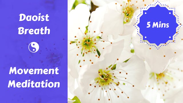 Daoist Breath Meditation