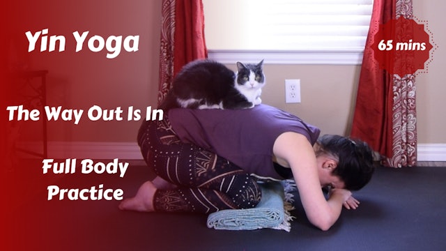 Yin Yoga | The Way Out Is In