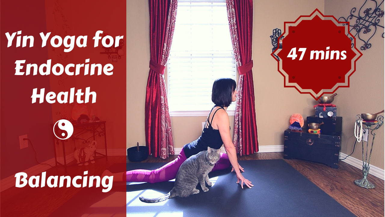 Yin Yoga for Endocrine Health | Balancing Your Hormones