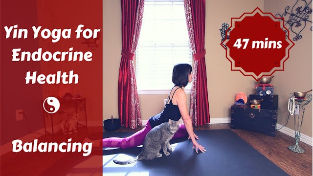 Yin Yoga for Endocrine Health | Balan...