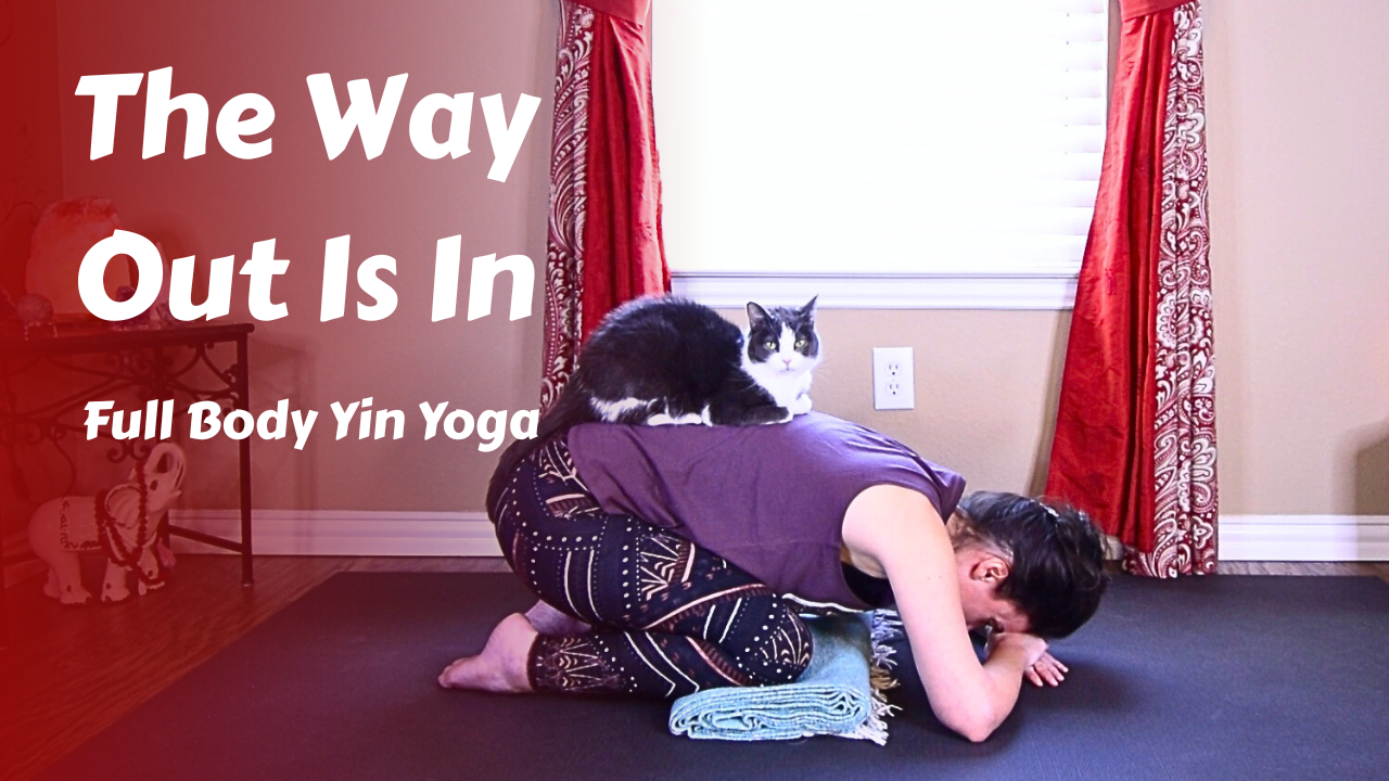 Yin Yoga | The Way Out Is In | Full Body Practice