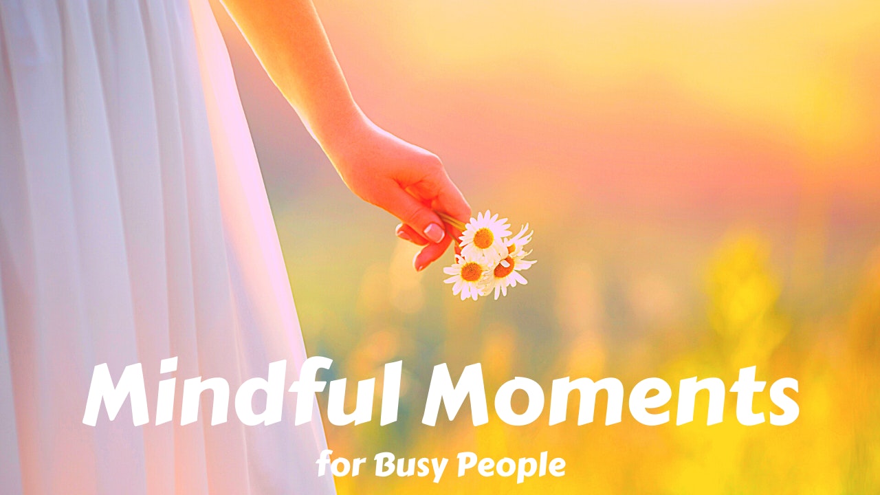 Mindful Moments for Busy People | Meditation & Pranayama