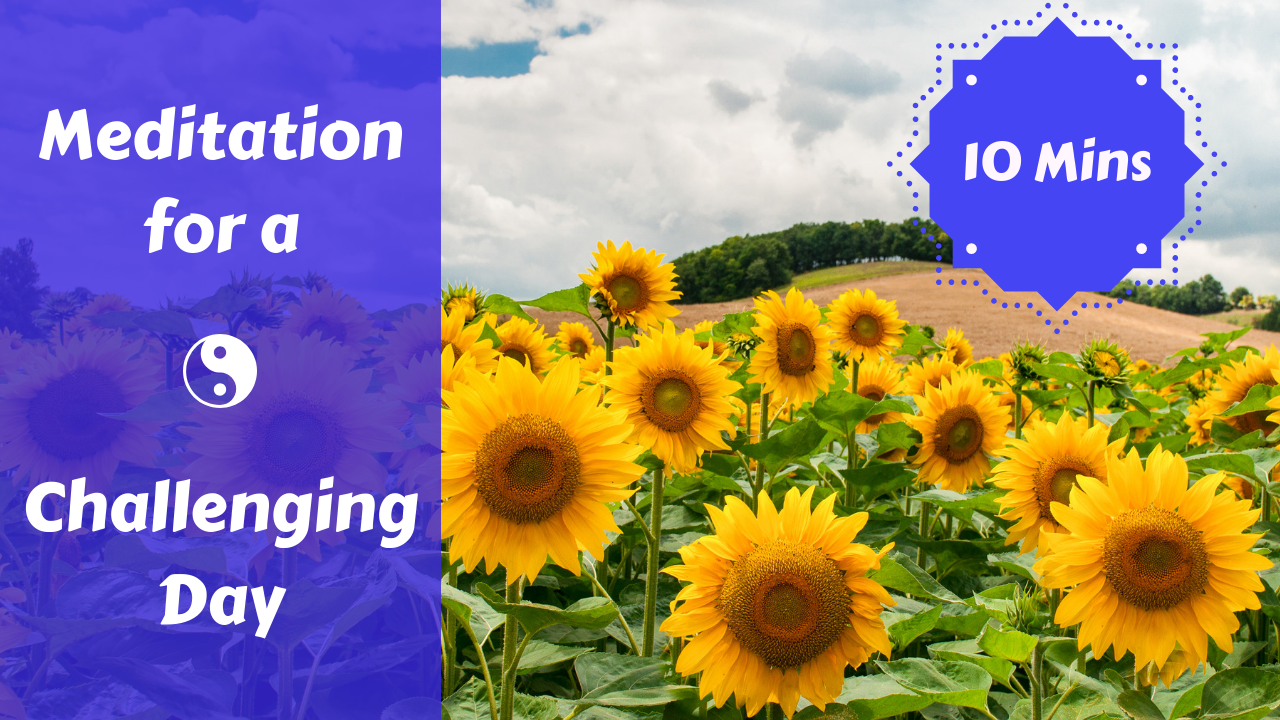 Meditation for a Challenging Day | Gather Your Energy