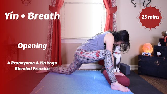 Yin + Breath | Opening