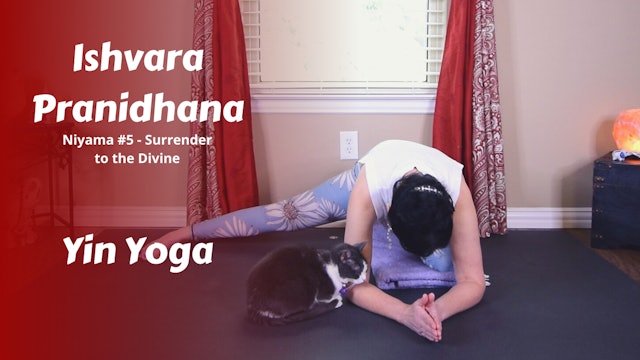 {Y}integration Yin Yoga | Ishvara Pranidhana | Surrender