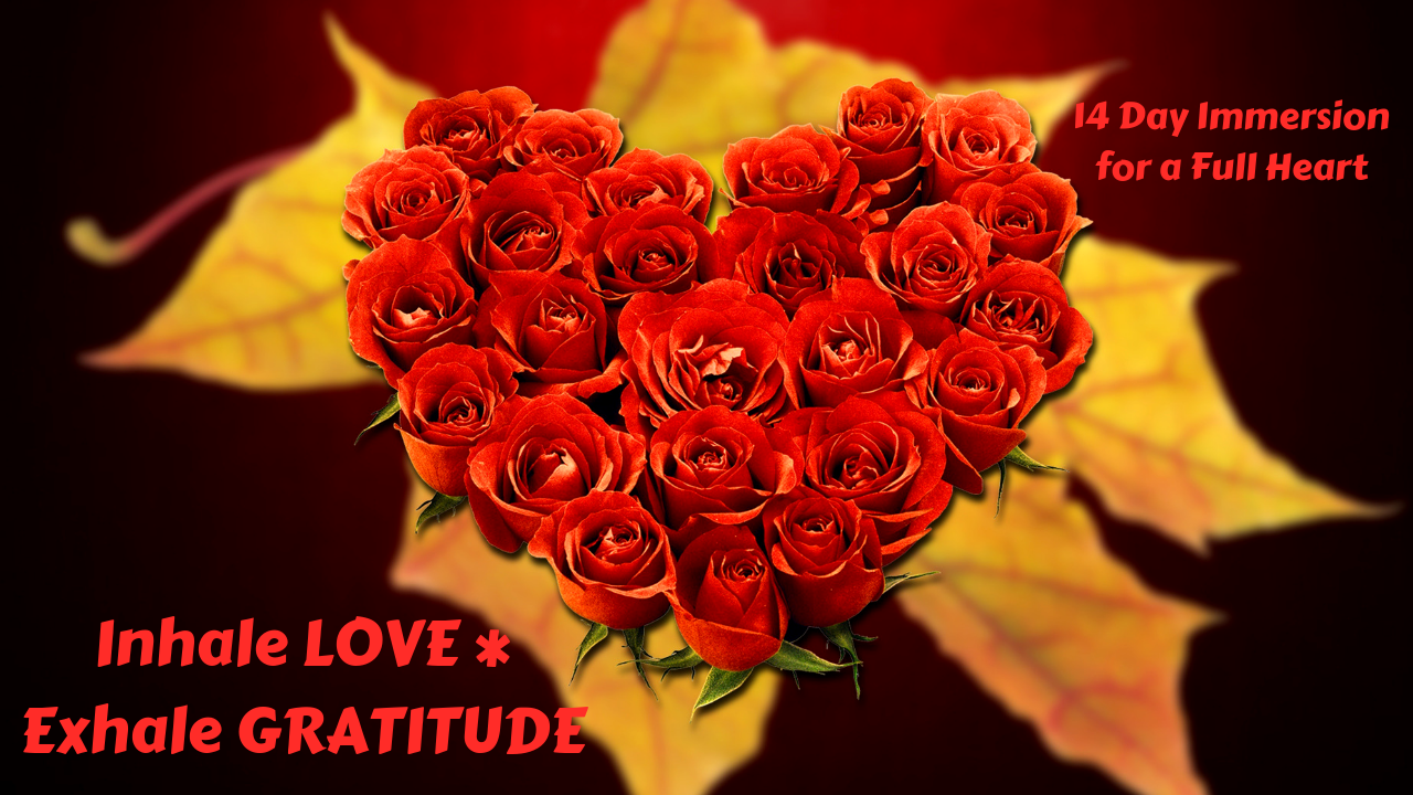 Inhale Love * Exhale Gratitude | 14 Day Immersion for a Full Heart