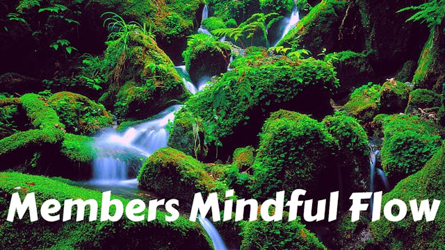 Members Only Mindful Flow