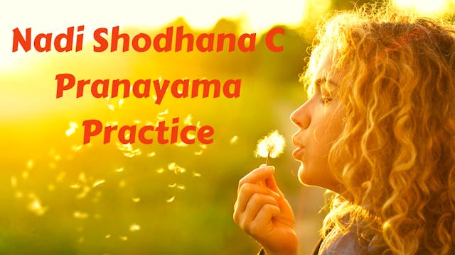 Nadi Shodhana C (Alternate Nostril) Pranayama Practice