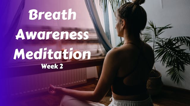 Breath Awareness Meditation Week 2