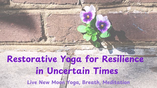 Restorative Yoga for Resilience in Un...