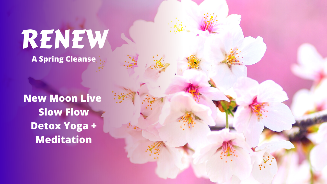 New Moon Live Slow Flow Yoga Detox | RENEW