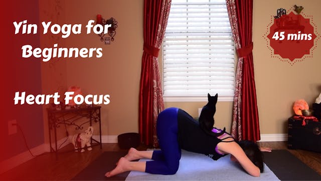 Yin Yoga for Beginners | Heart Focus