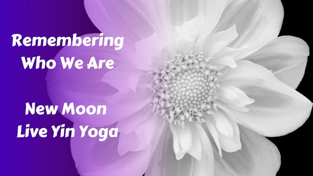 New Moon Live Yin Yoga | Remembering ...