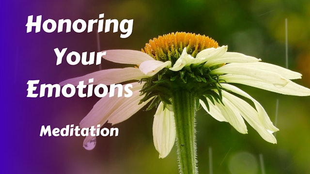 Honoring Your Emotions Meditation