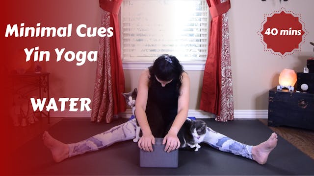Minimal Cues Yin Yoga | WATER Flow with Ease