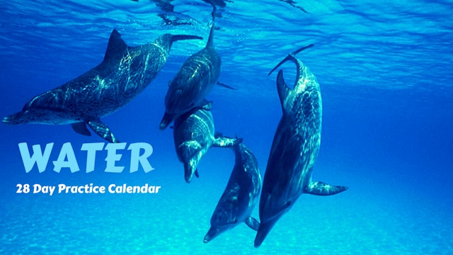 WATER Practice Calendar | Feb.'22