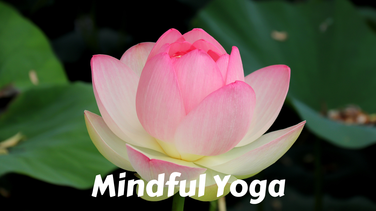 Mindful Yoga