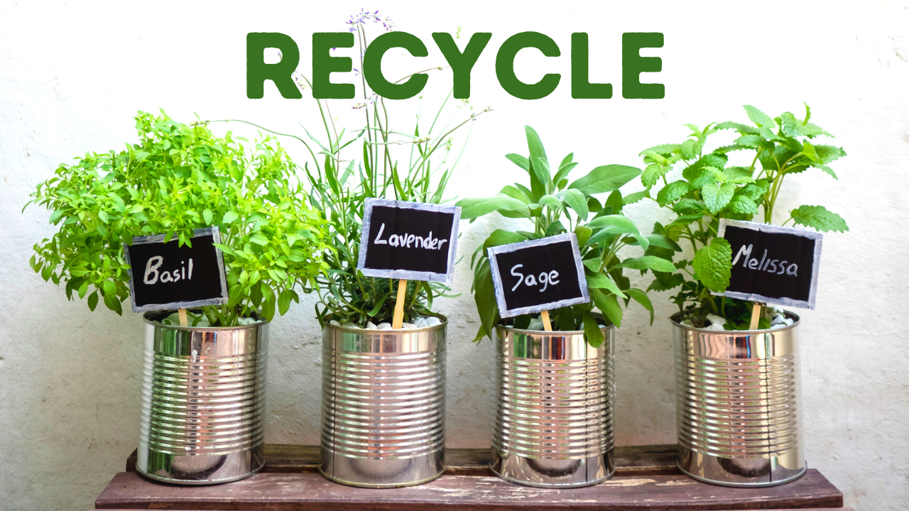 Intro to RECYCLE | Transformation