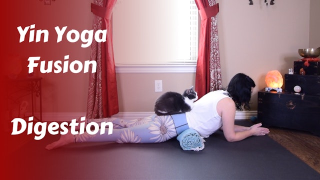 Yinspired Yin Yoga Fusion to Stimulate Healthy Digestion