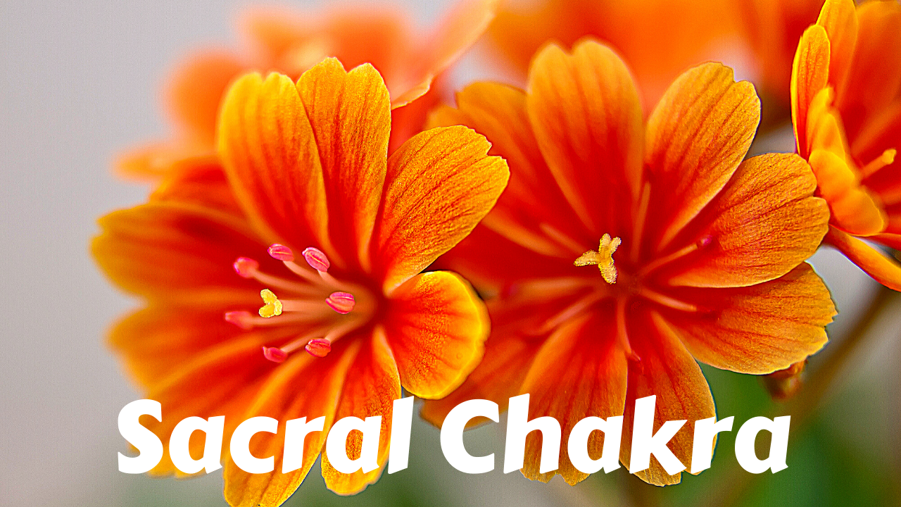 Sacral Chakra | Svadhishthana