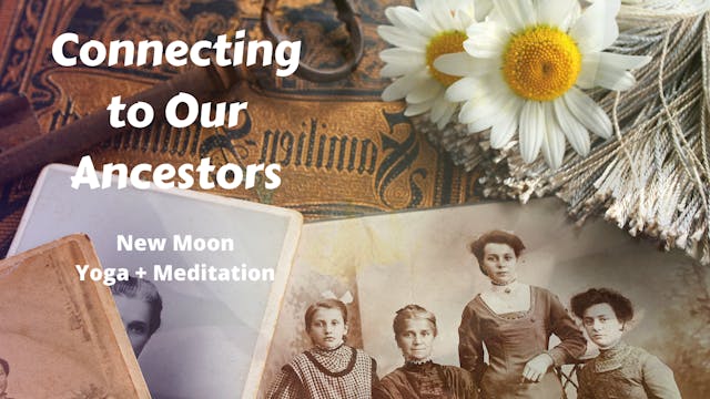 Connecting to Our Ancestors | New Moo...