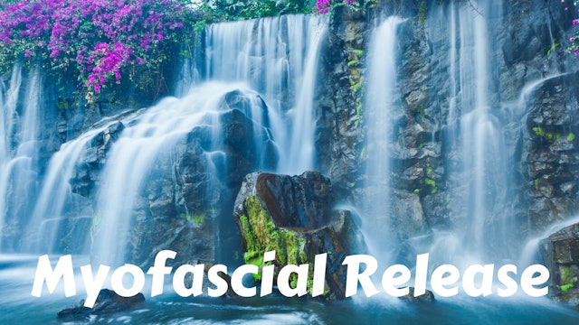 Myofascial Release | Self Massage Practices