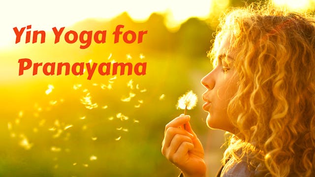 Yin Yoga for Pranayama Practice