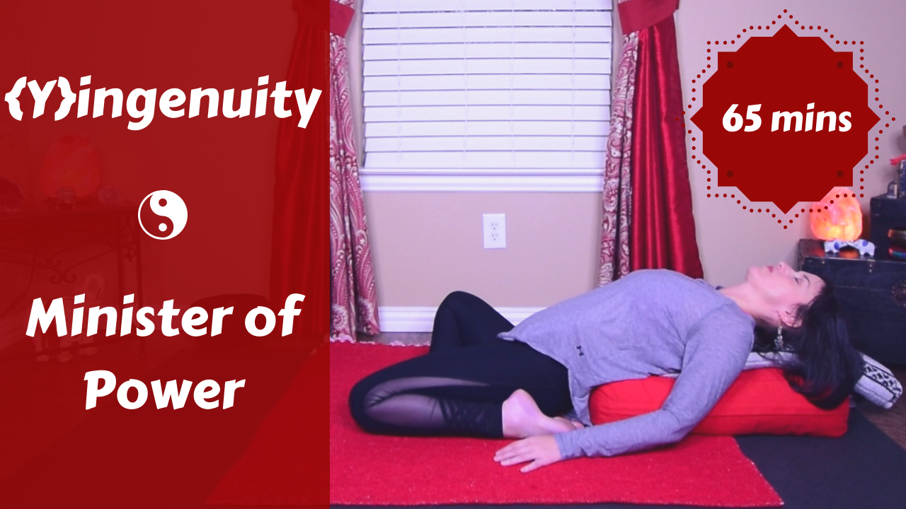 {Y}ingenuity | Minister of Power | Kidneys