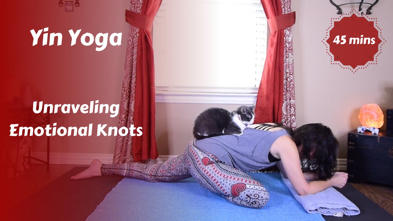 Yin Yoga | Unraveling Emotional Knots - Yin Yoga - YR Self Care Studio