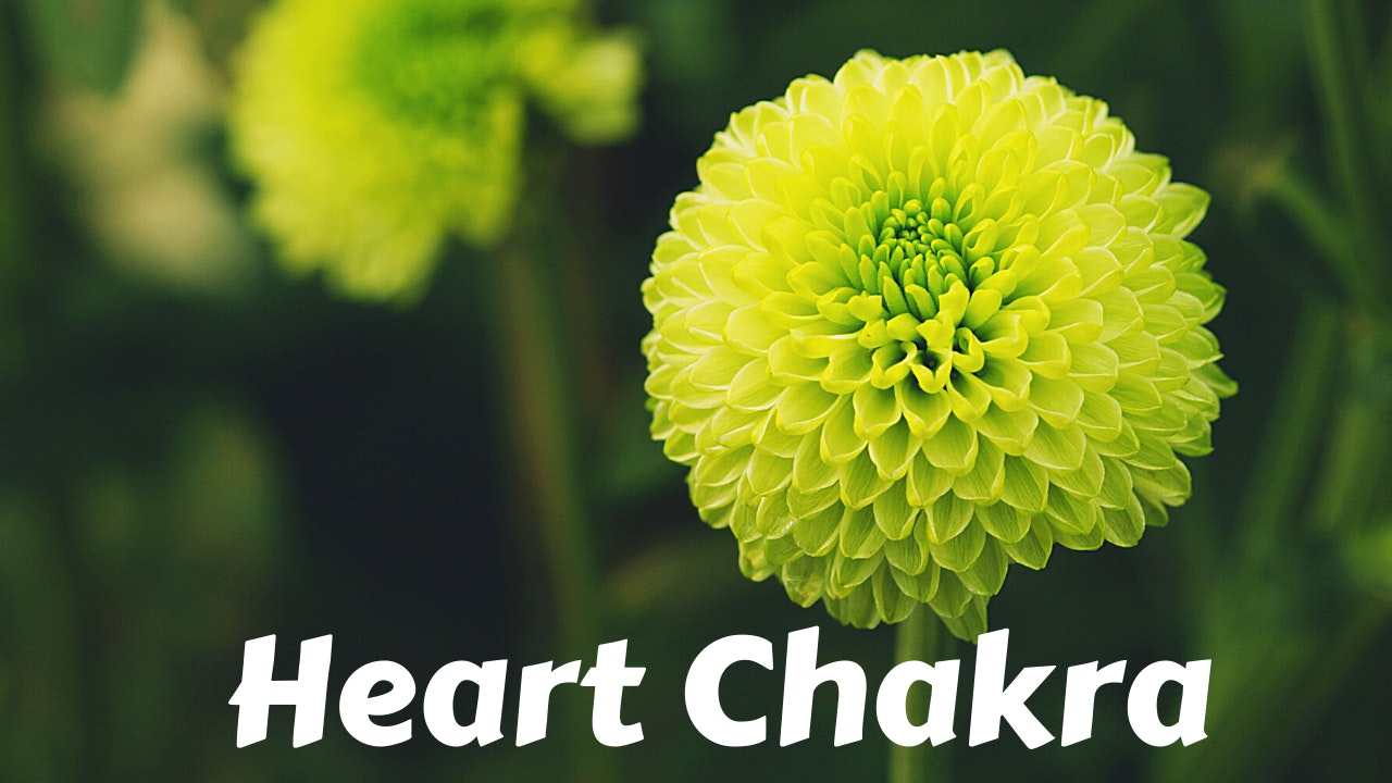 Heart Chakra | Anahata