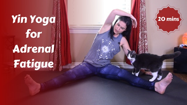 Adrenal Fatigue Yin Yoga Snack | Hormone Balancing