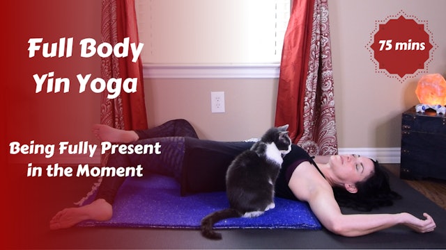 Mindful Movement Meditation | Full Body Yin Yoga