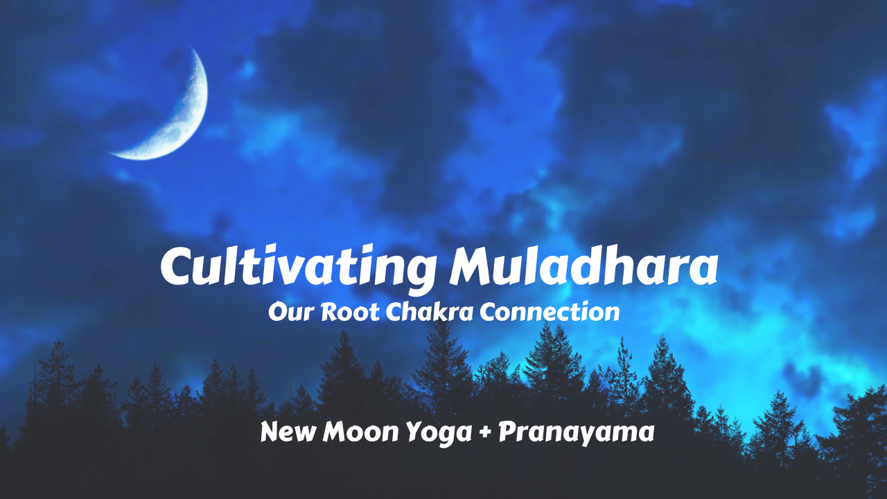 Cultivating Muladhara Chakra | New Moon Yoga to Root & Bloom