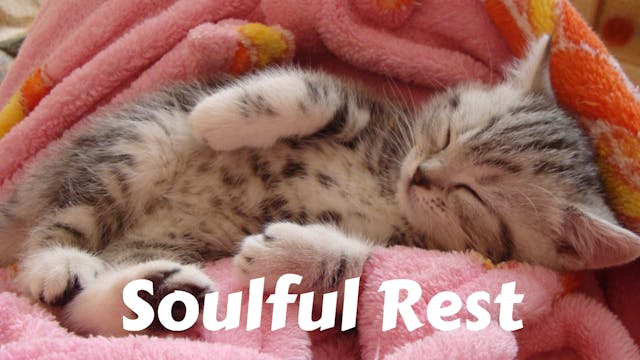 Soulful Rest | Restorative Yoga for Deep Healing