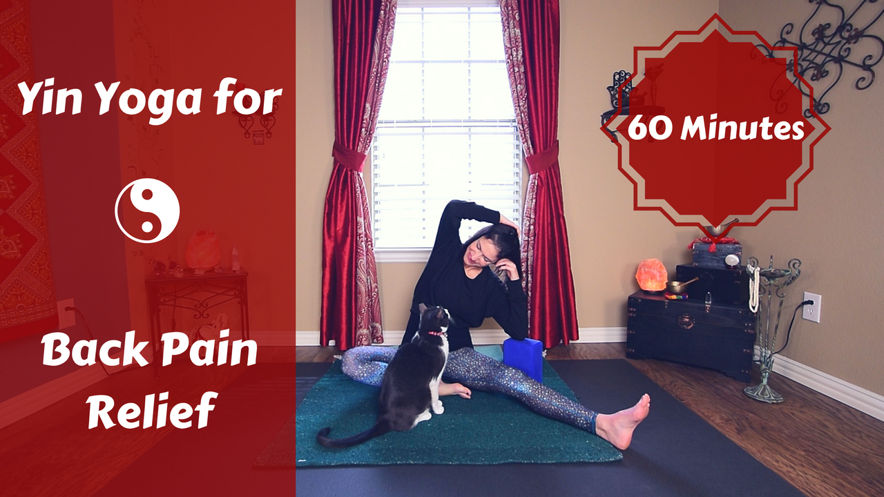 Yin Yoga for Back Pain & Discomfort Relief