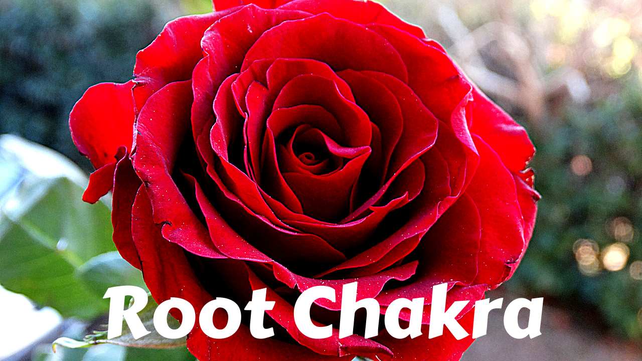 Root Chakra | Muladhara