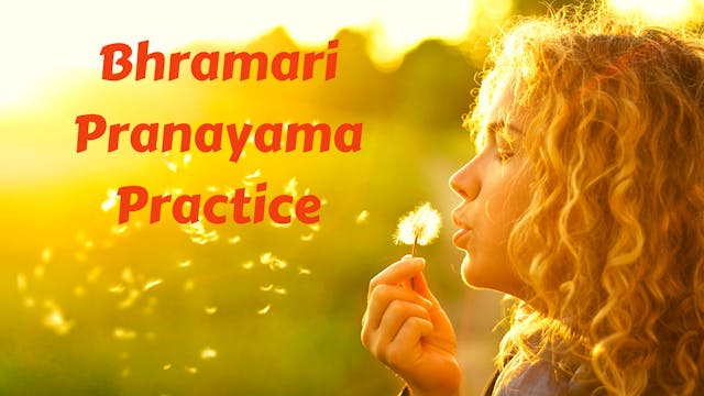 Bhramari (Humming Bee Breath) Pranayama Practice