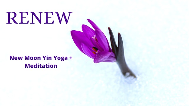 RENEW | New Moon Yin Yoga