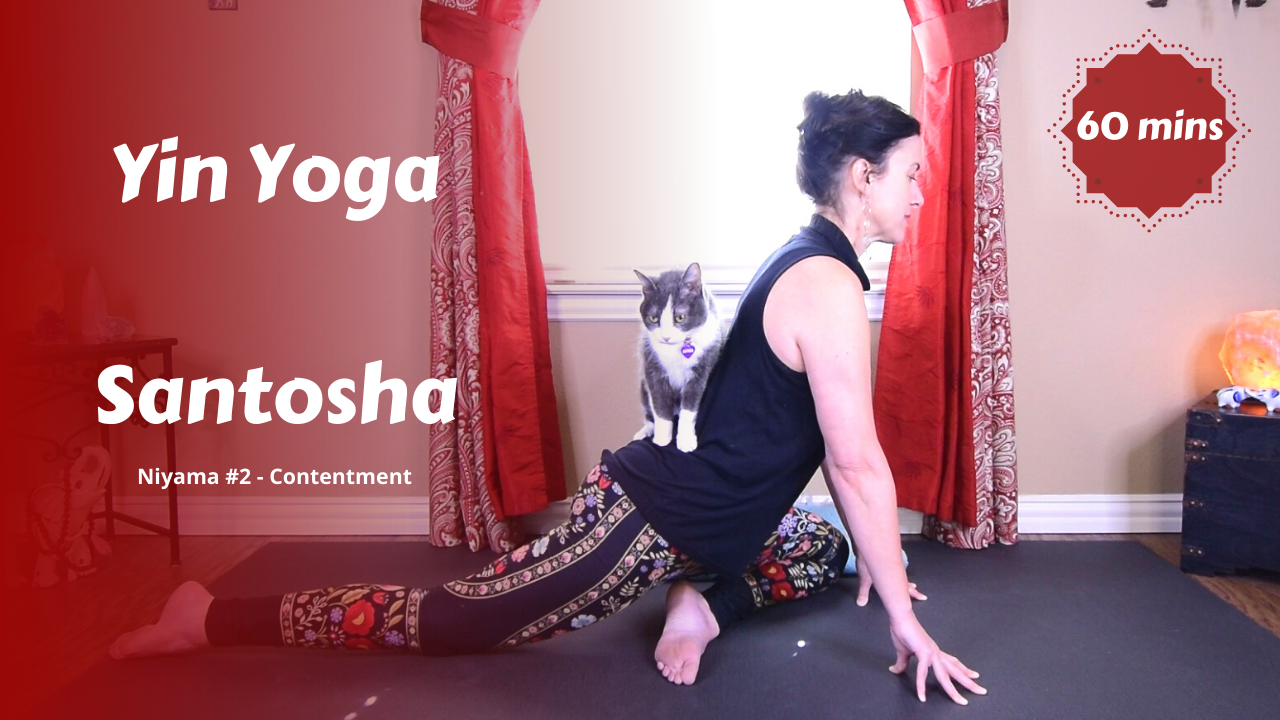 {Y}integration Yin Yoga | Santosha | Contentment
