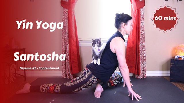 {Y}integration Yin Yoga | Santosha | Contentment