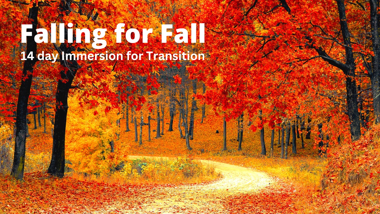 Falling For Fall | 14 Day Immersion for Change