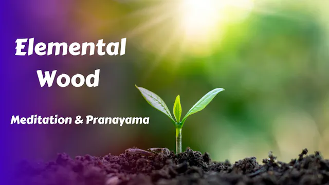 Wood Element Meditation & Pranayama